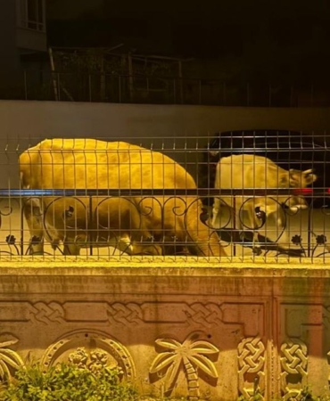 i-m-g-20251004-w-a0039