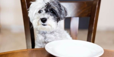 image-20251001184035-1