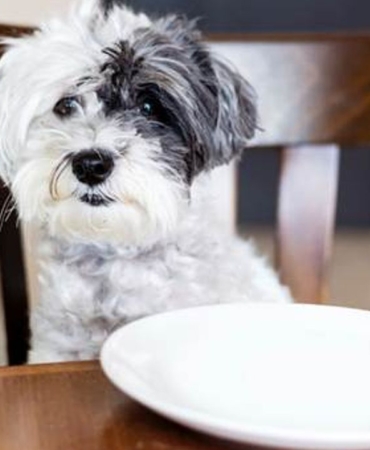 image-20251001184035-1