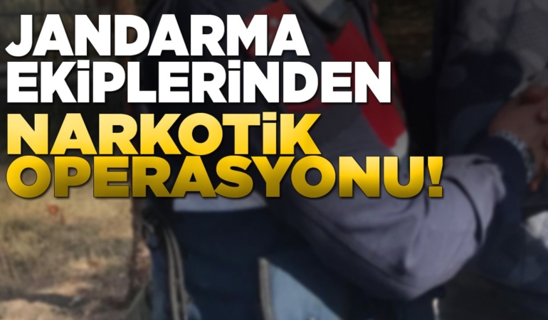 Sinop’ta yasaklı madde operasyonu: 2 gözaltı