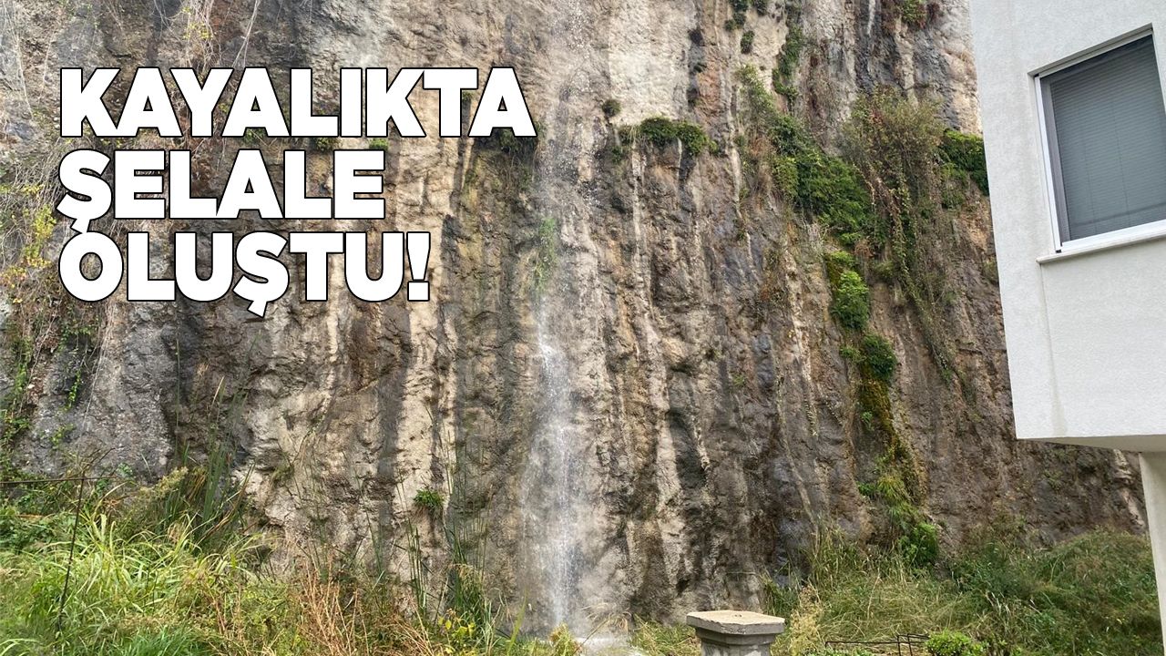kayalikselale