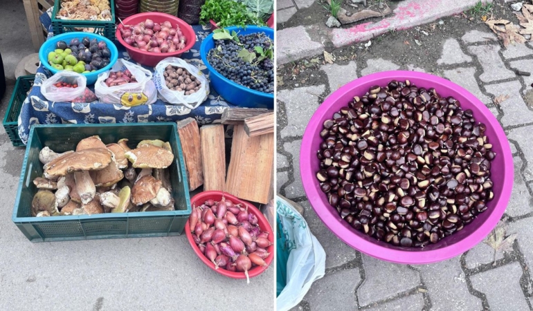 Kestane ve fesleğen mantarı satışa sunuldu