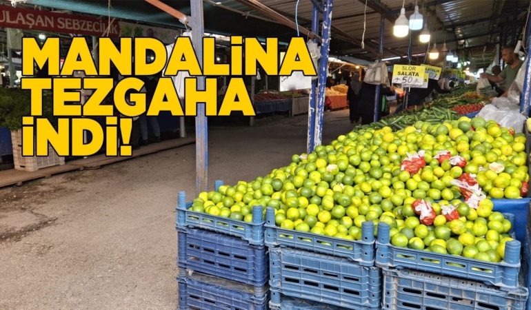 Kış meyvelerinin yıldızı mandalina tezgaha indi