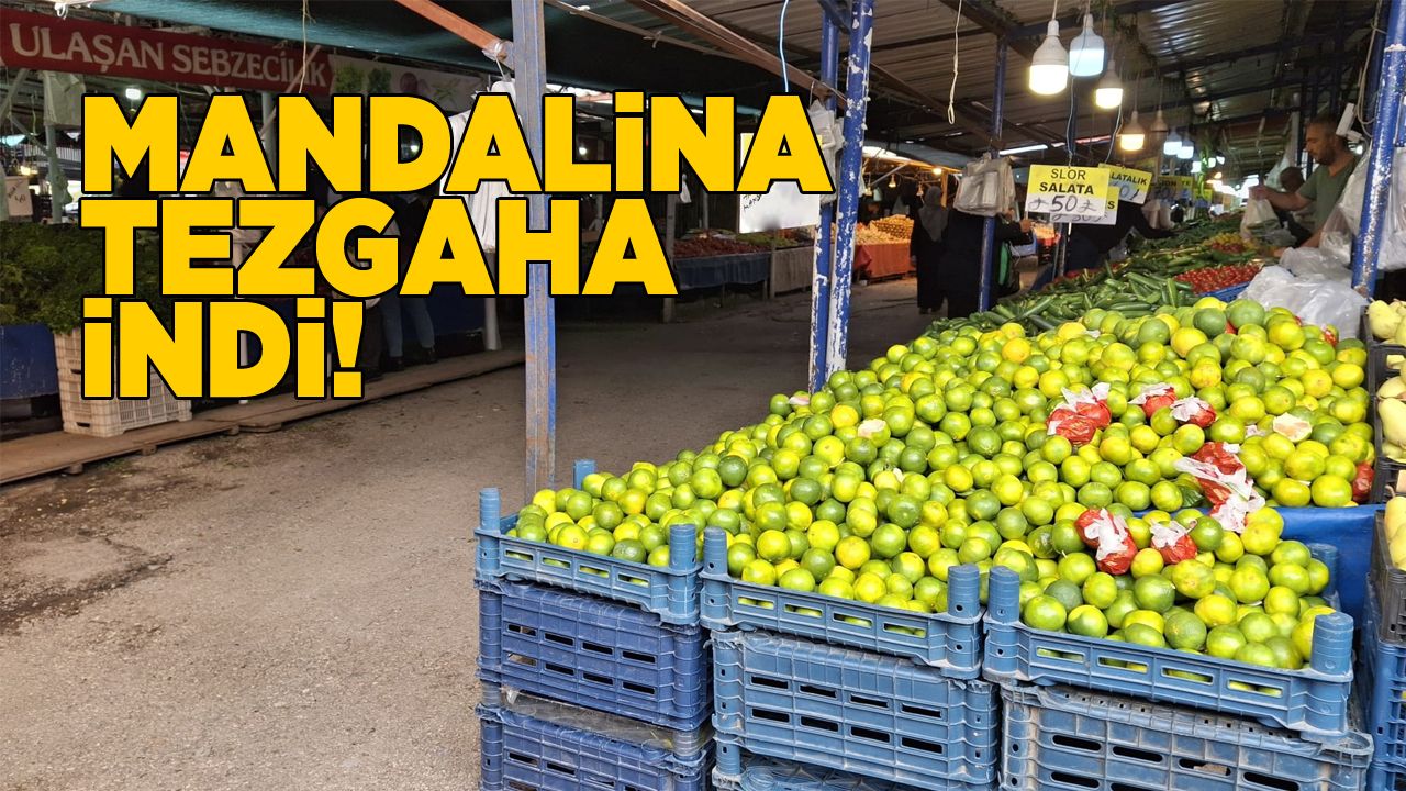 mandalina
