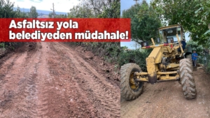 osmaniyeyolduzenleme