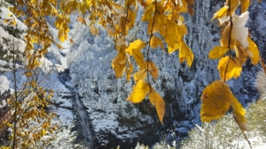 rizede-sonbahar-ve-kis-ayni-karede-bulustu