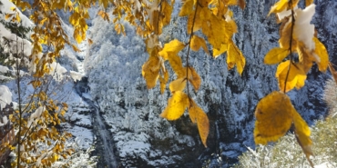 rizede-sonbahar-ve-kis-ayni-karede-bulustu