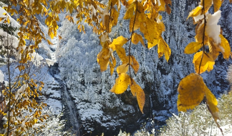 Ilgaz Dağı’na kış geldi. Mevsimin ilk karı yağdı!