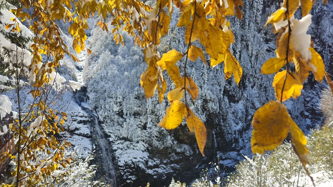 rizede-sonbahar-ve-kis-ayni-karede-bulustu