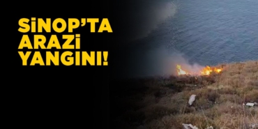 s-i-n-o-p-a-r-a-z-i-y-a-n-g-i-n-i61025