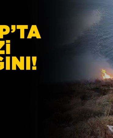 s-i-n-o-p-a-r-a-z-i-y-a-n-g-i-n-i61025