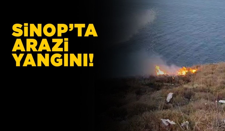 Sinop’ta çalılık alanda yangın