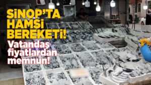 sinophamsibereket