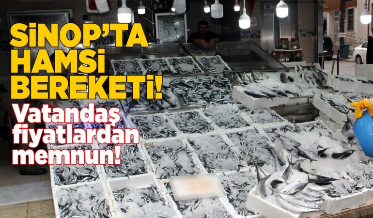 Sinop’ta balıkçı tezgahlarında hamsi bolluğu yaşanıyor