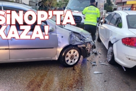 sinopkazadervissarabil