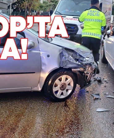 sinopkazadervissarabil