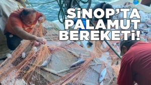 sinoppalamut