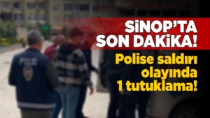 sinopsaldiritutuklama101025