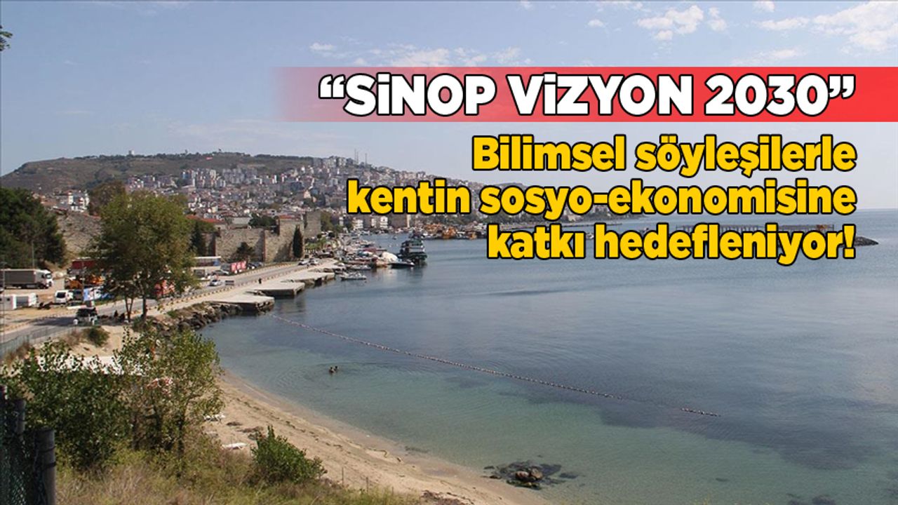 sinopvizyon2030