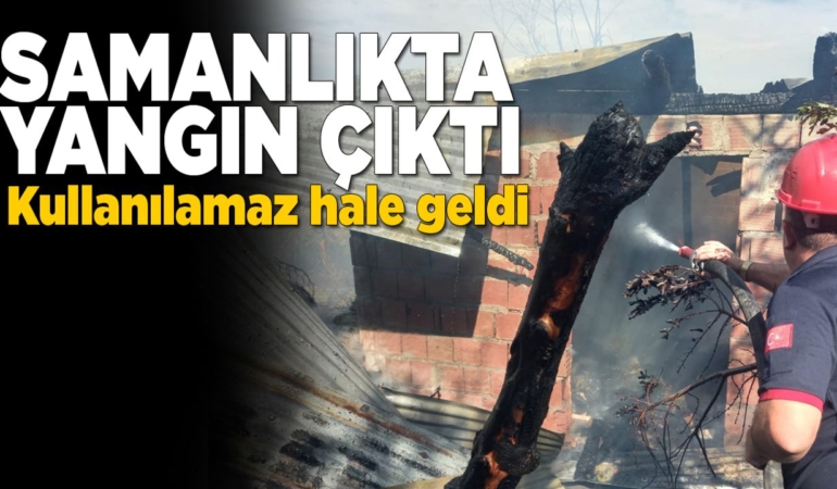 Sinop’ta samanlık yangını