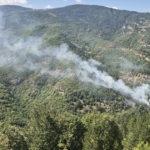 Sinop'ta Orman Yangını Kontrol Altına Alındı