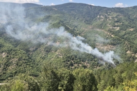 Sinop'ta Orman Yangını Kontrol Altına Alındı