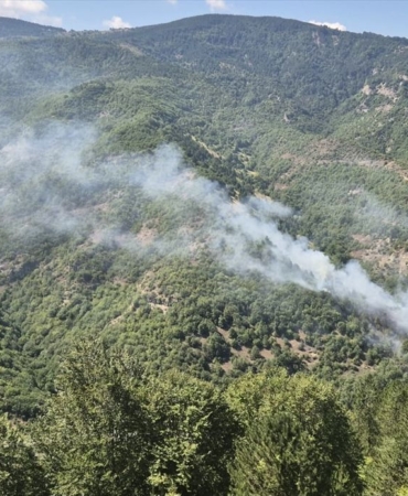 Sinop'ta Orman Yangını Kontrol Altına Alındı
