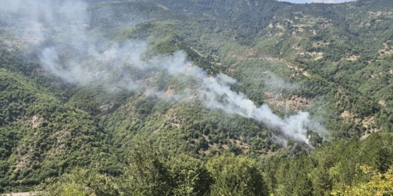 Sinop'ta Orman Yangını Kontrol Altına Alındı