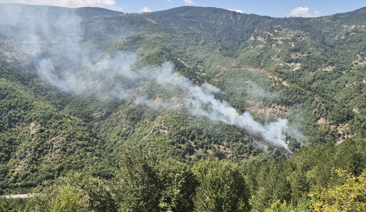 Sinop'ta Orman Yangını Kontrol Altına Alındı