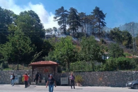 Gerze'de Orman Yangını Kontrol Altında