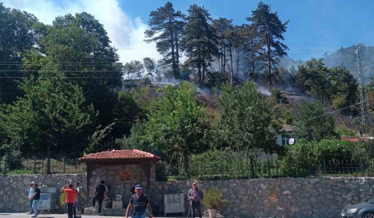 Gerze'de Orman Yangını Kontrol Altında