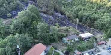 Sinop'ta Yangın Çıkaran Şahıs Tutuklandı