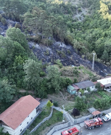 Sinop'ta Yangın Çıkaran Şahıs Tutuklandı