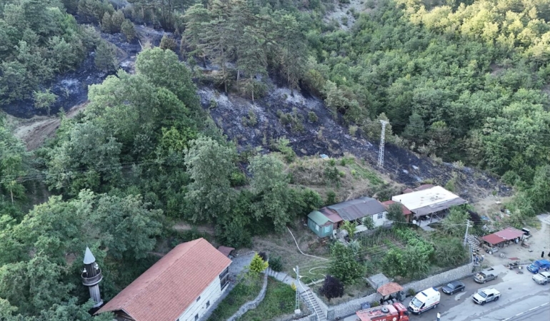 Sinop’ta Yangın Çıkaran Şahıs Tutuklandı