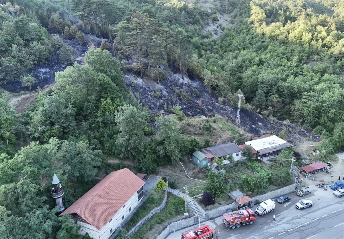 Sinop'ta Yangın Çıkaran Şahıs Tutuklandı