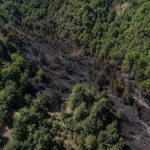 Sinop’taki orman yangını kontrol altına alındı