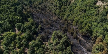 Sinop’taki orman yangını kontrol altına alındı