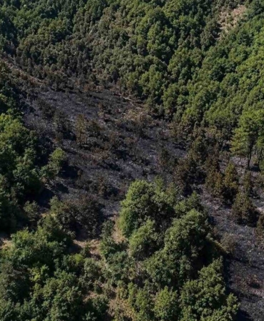 Sinop’taki orman yangını kontrol altına alındı