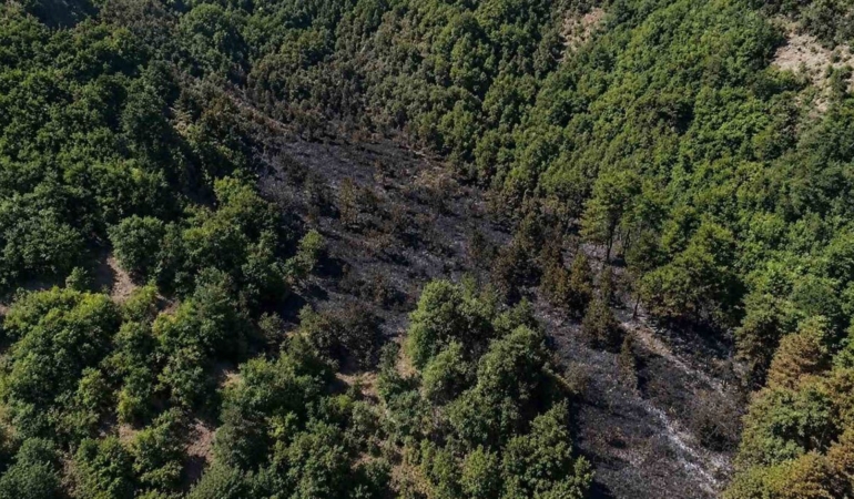 Sinop’taki orman yangını kontrol altına alındı