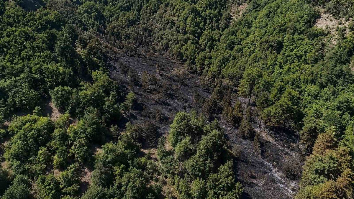 Sinop’taki orman yangını kontrol altına alındı