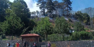 Sinop’taki orman yangınıyla ilgili 1 kişi gözaltında