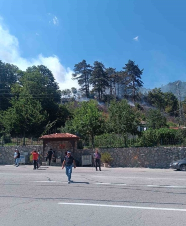 Sinop’taki orman yangınıyla ilgili 1 kişi gözaltında