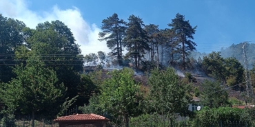 Sinop’taki orman yangınıyla ilgili 1 kişi tutuklandı