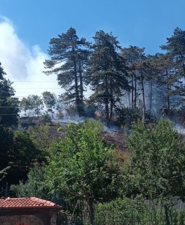 Sinop’taki orman yangınıyla ilgili 1 kişi tutuklandı