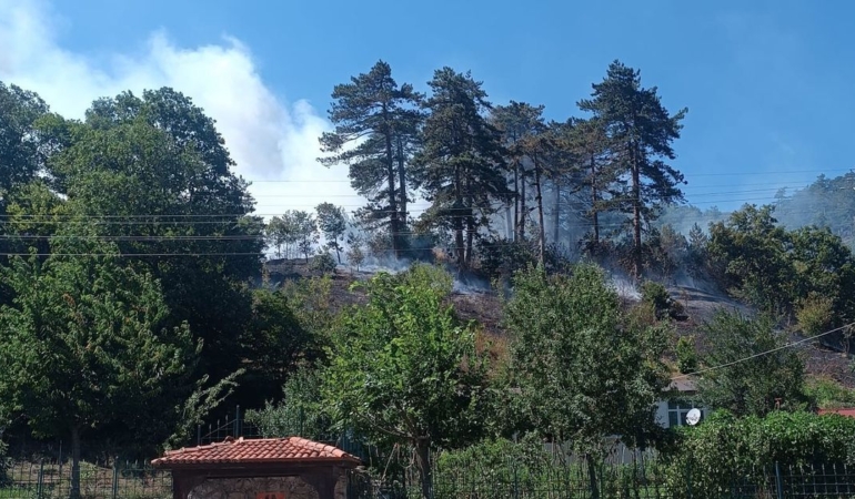 Sinop’taki orman yangınıyla ilgili 1 kişi tutuklandı