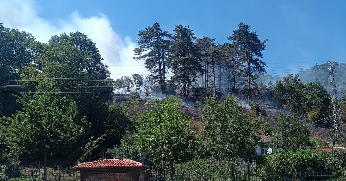 Sinop’taki orman yangınıyla ilgili 1 kişi tutuklandı