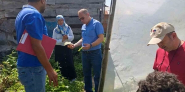 Sinop'ta Sebze Hasadı Başladı